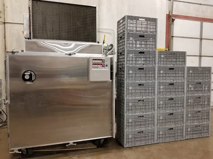 Insight Restoration Picture 6