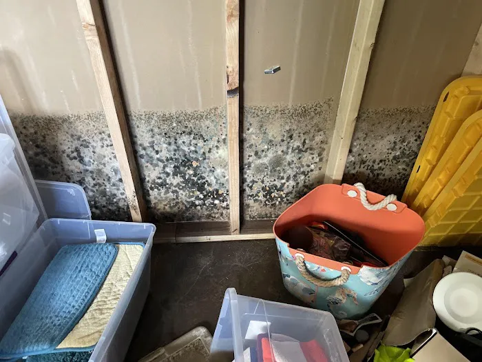 Bauer Restoration Inc Picture 9