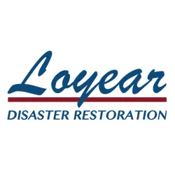 Loyear Disaster Services Picture 2