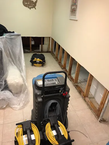 Professional Picture 1