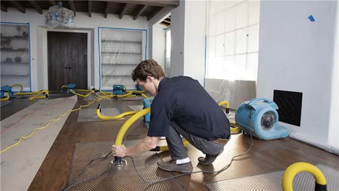 Professional Picture 3