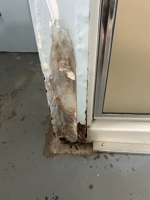 Certified Mold Inspection and Remediation Services Picture 5