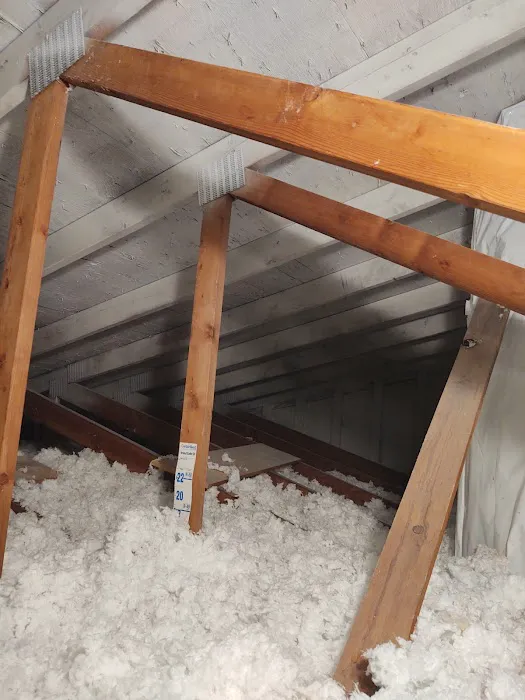 Certified Mold Inspection and Remediation Services Picture 6