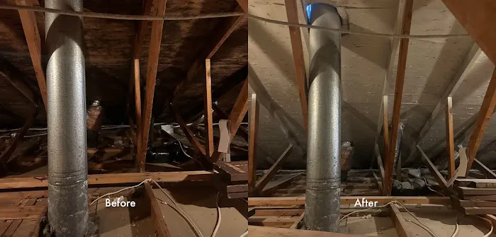 Certified Mold Inspection and Remediation Services Picture 3