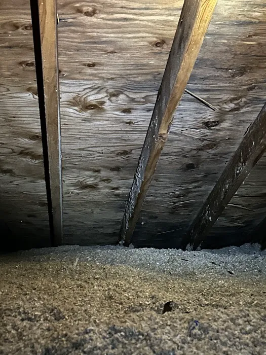 Certified Mold Inspection and Remediation Services Picture 9