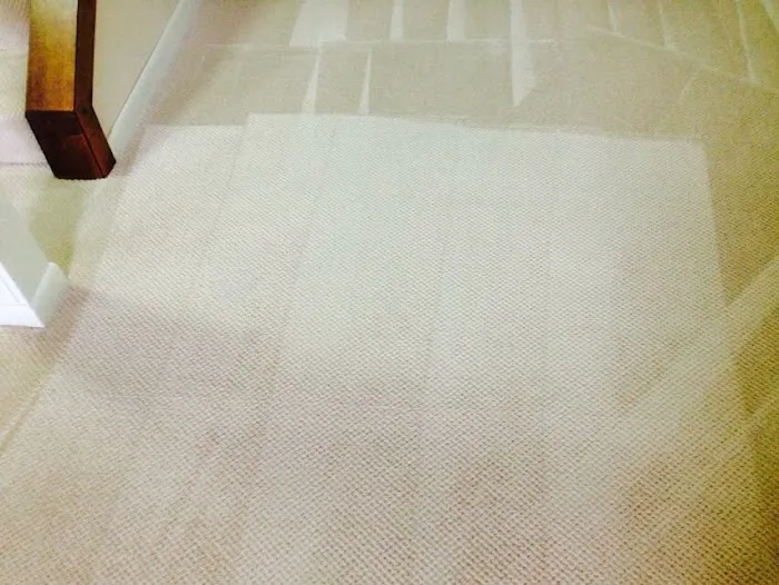 White Glove Cleaning & Restoration Picture 2