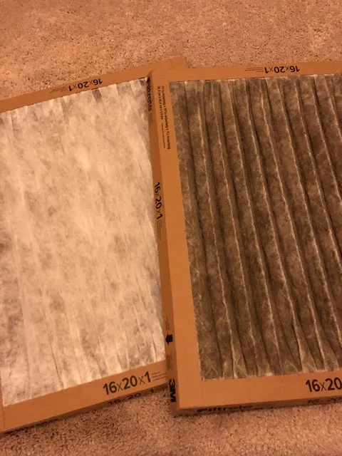 White Glove Cleaning & Restoration Picture 8