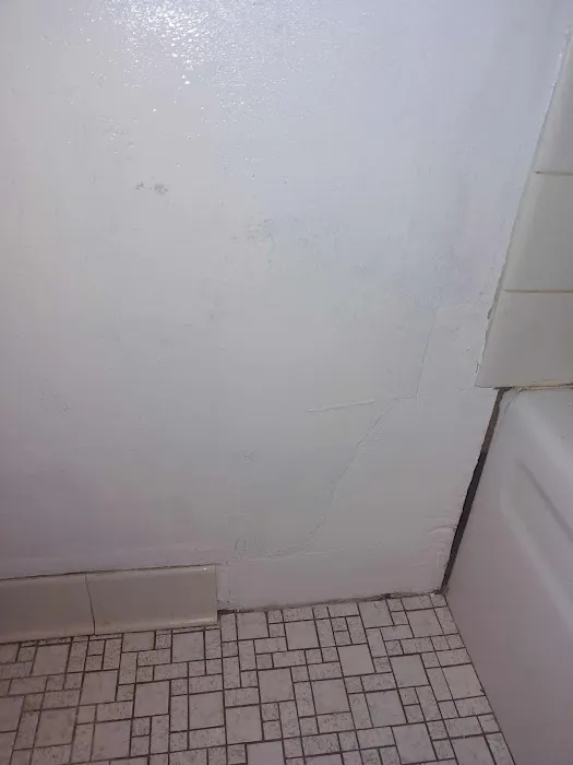 Clean Air Restoration Picture 2