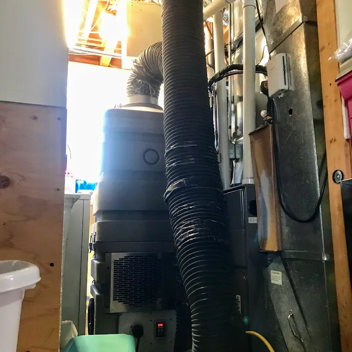 Clean Air Restoration Picture 4