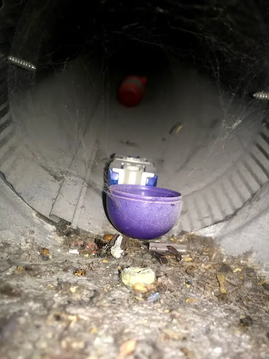 Clean Air Restoration Picture 3