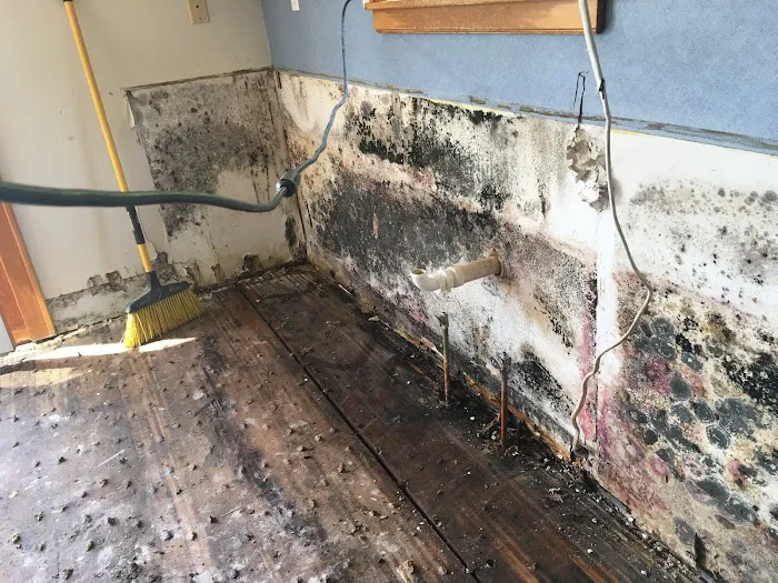 Minneapolis Water Damage Specialist 24/7 - MN Water, Mold & Fire Restoration Picture 2