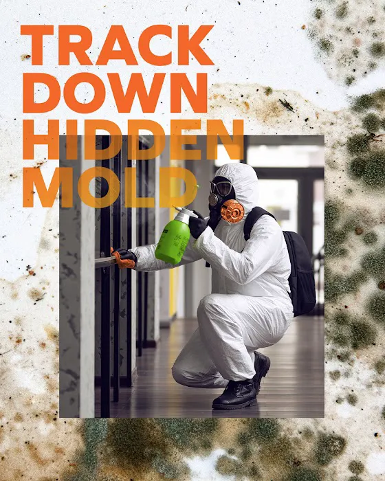 SERVPRO of Downtown Minneapolis/Team Nitzsche Picture 3