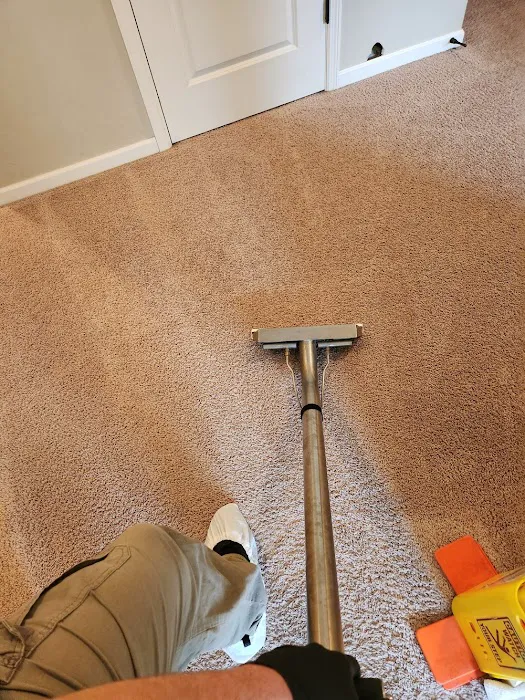 Green Clean Picture 10