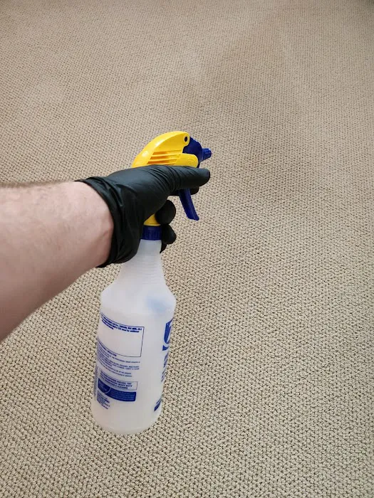 Green Clean Picture 6