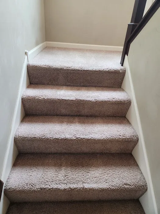 Green Clean Picture 8