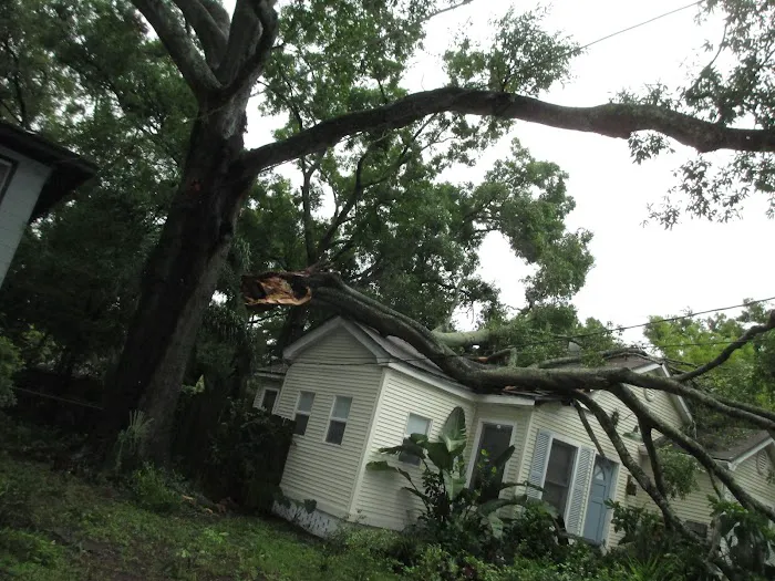 BELFOR Property Restoration (Minneapolis) Picture 9