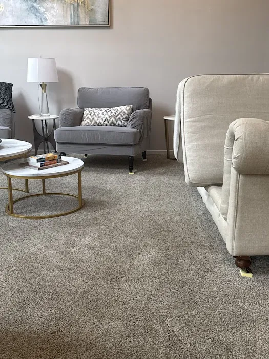 Stanley Steemer Picture 5