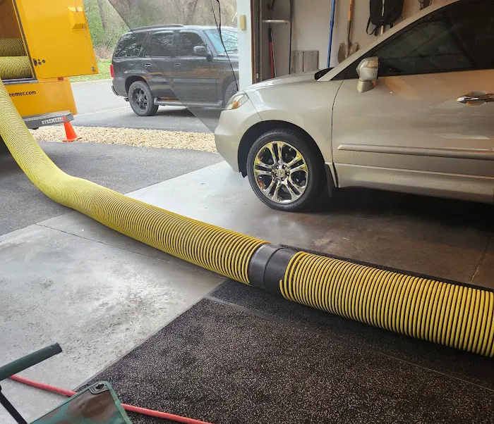 Stanley Steemer Picture 7