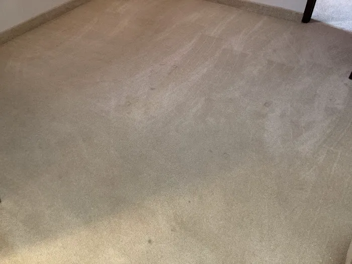 Stanley Steemer Picture 4