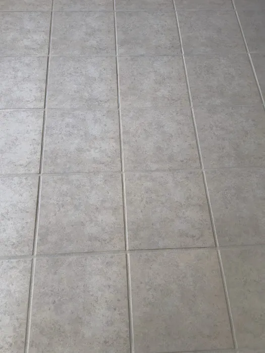 Stanley Steemer Picture 9