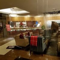 Service Restoration ico