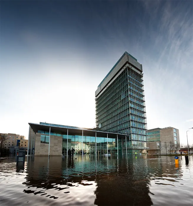 Done Right Carpet & Restoration Inc. Picture 3