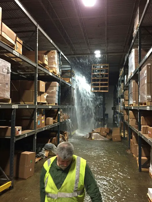 Done Right Carpet & Restoration Inc. Picture 1