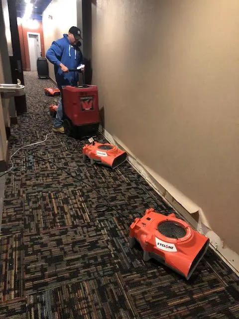 Done Right Carpet & Restoration Inc. Picture 7