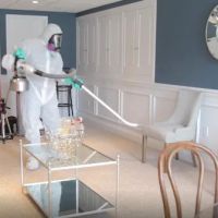 Green Home Solutions of The Twin Cities (MN) ico