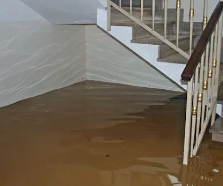 Just Us Construction & Restoration, Inc.