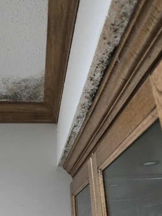 Relax Restoration Picture 3