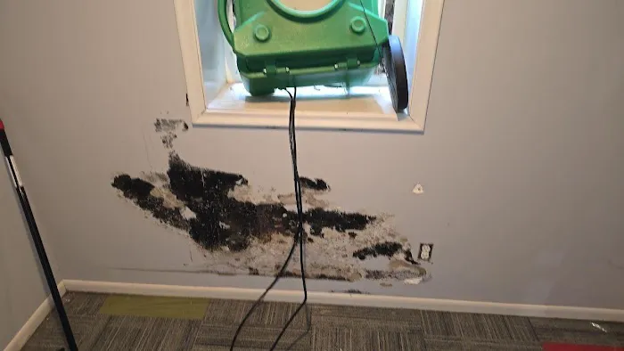 Relax Restoration Picture 5