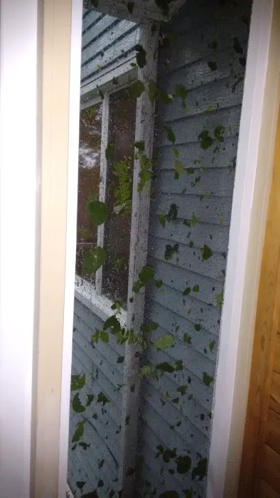 MN Water Damage Restoration Picture 1