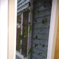 MN Water Damage Restoration ico