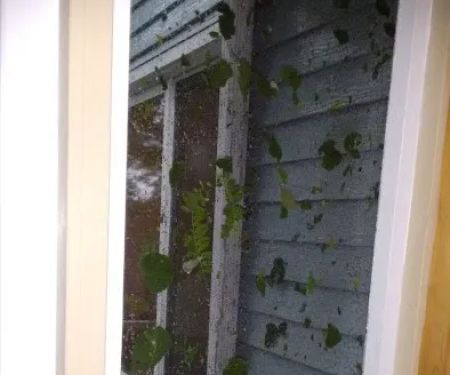 MN Water Damage Restoration