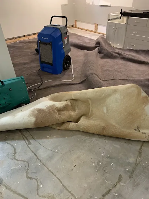 SIMESOTA Restoration Picture 7