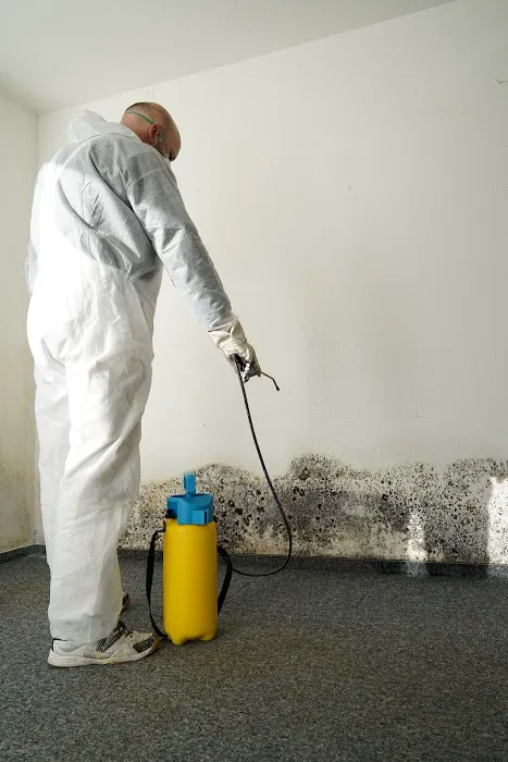 SIMESOTA Restoration Picture 1