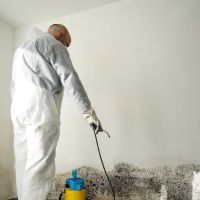 SIMESOTA Restoration ico