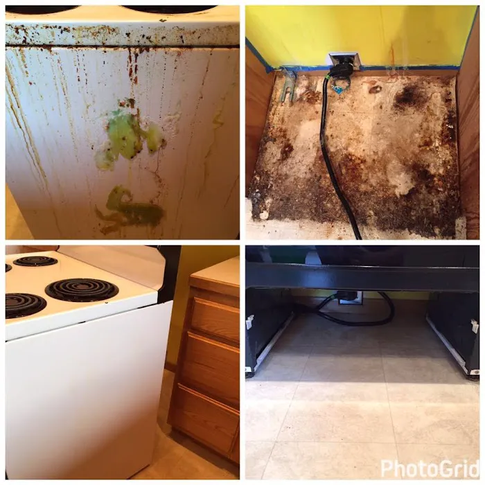 Neat Freak Cleaning & Services, LLC Picture 4