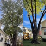 All Around Labor Solutions LLC