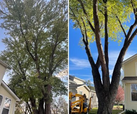 All Around Labor Solutions LLC