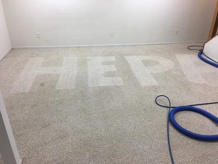 Hepa Cleaning Services Picture 6