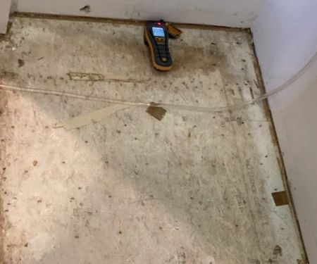 St. Croix Restoration