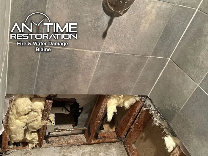 Anytime Restoration Fire & Water Damage Blaine Picture 3