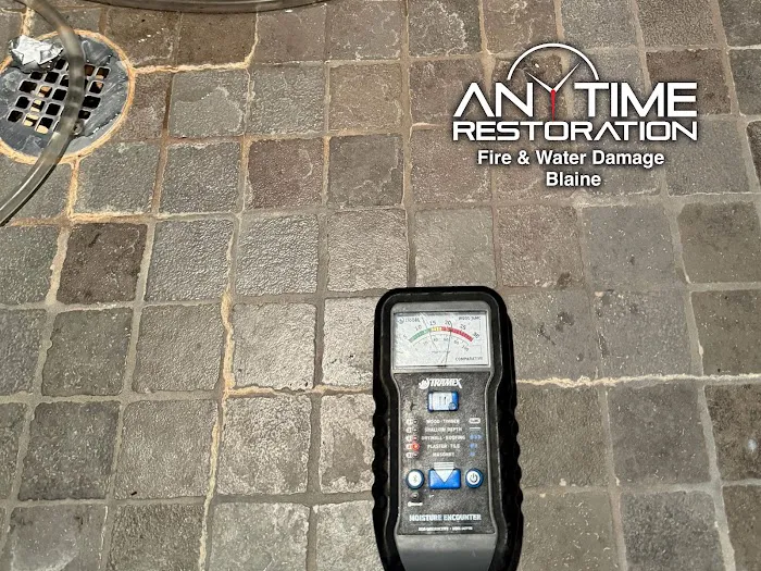 Anytime Restoration Fire & Water Damage Blaine Picture 5