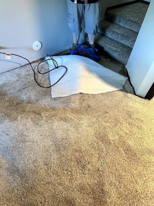 U.S.A. Water Damage Picture 3