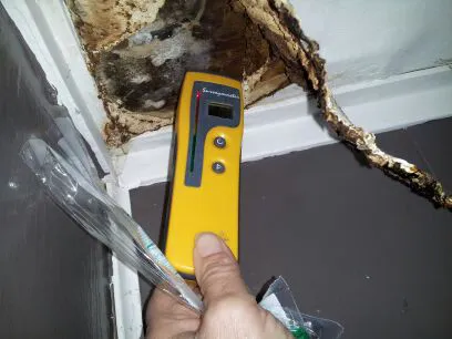 Minnesota Mold Inspection, LLC Picture 1