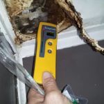 Minnesota Mold Inspection, LLC