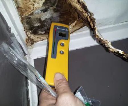 Minnesota Mold Inspection, LLC