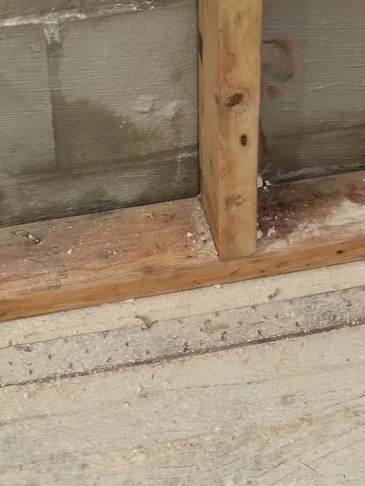 Water Damage Cleanup .AI CORP | American Restores Group Picture 2